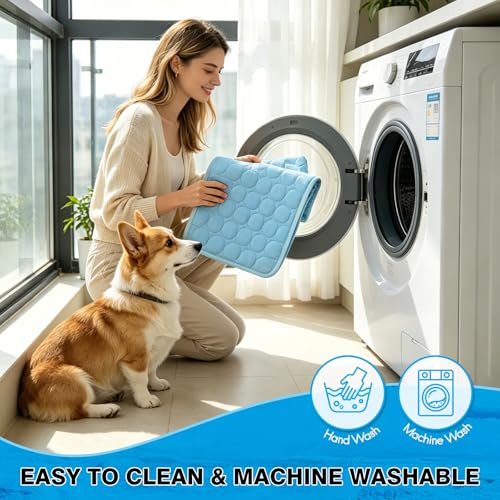 XinChangShangMao Pet Bed Mat in Small 20''×16'', Blue