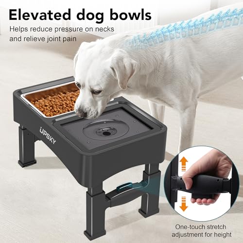 UPSKY Pet Feeder in C-3 in 1 (Black)