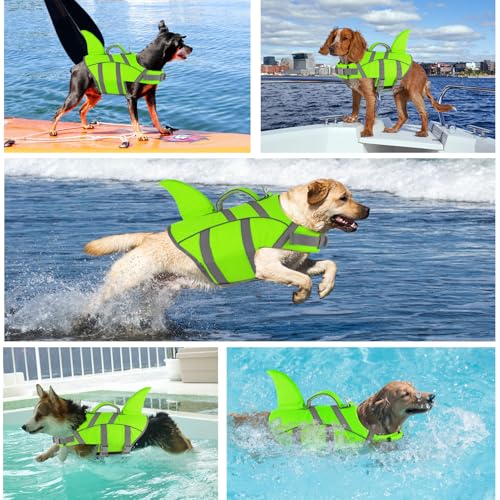 Doglay Pet Apparel in X-small, Fluorescent Green