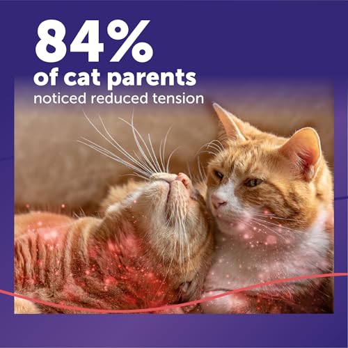 FELIWAY Pet Supplies in 1 Pack, RED