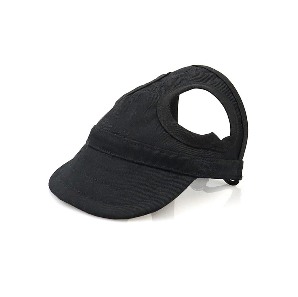 leconpet Pet Apparel in Small, Black