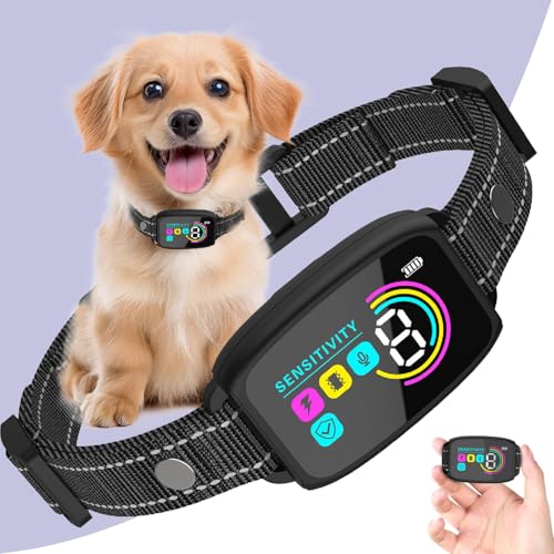 XCPP Animal Collar in Black