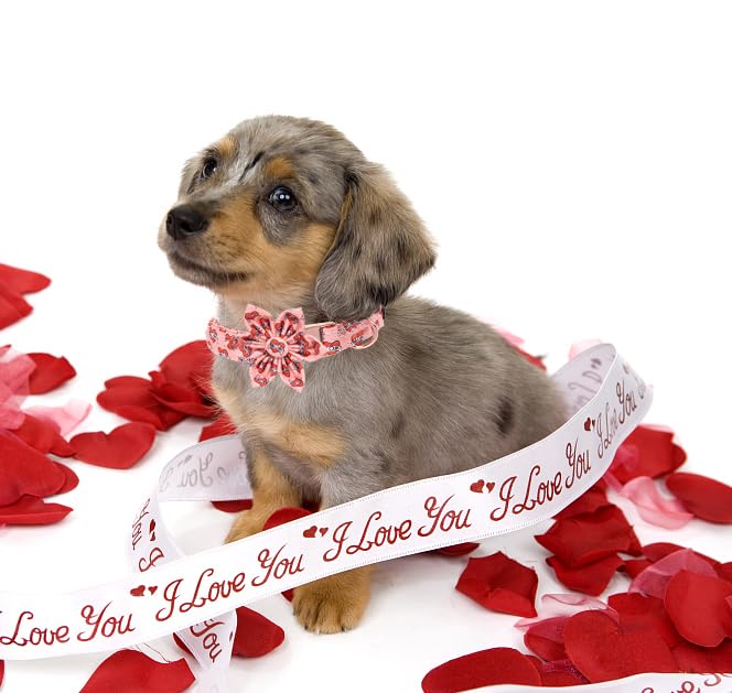 Unique style paws Animal Collar in XS, mom love-flower