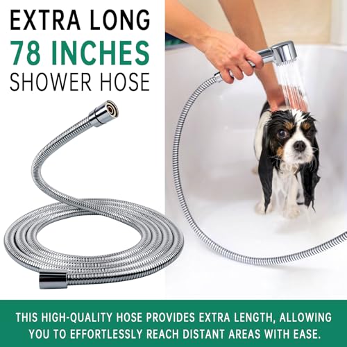 V-Frankness Showerhead in 78 Inches Hose, Polished Chrome