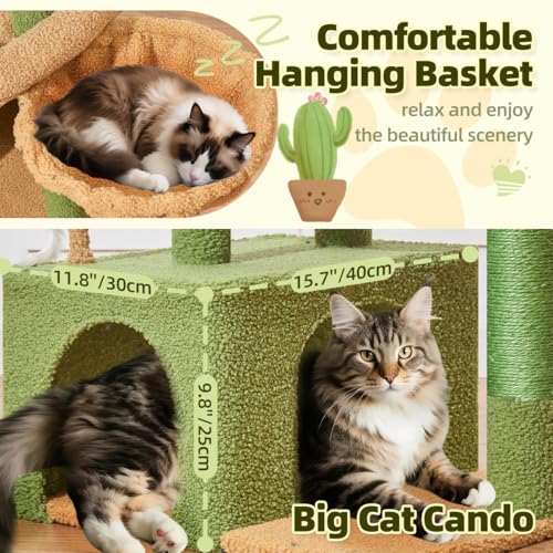 Taoqimiao Pet Activity Structure in L, Cactus