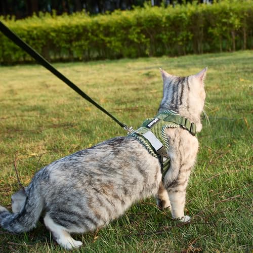 pangdi Pet Supplies in Small, Dark Green