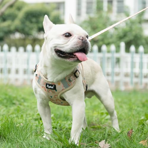 PUPTECK Animal Harness in L (25-33lbs, Chest 20"-25"), #2 Beige(Rainbow Print)