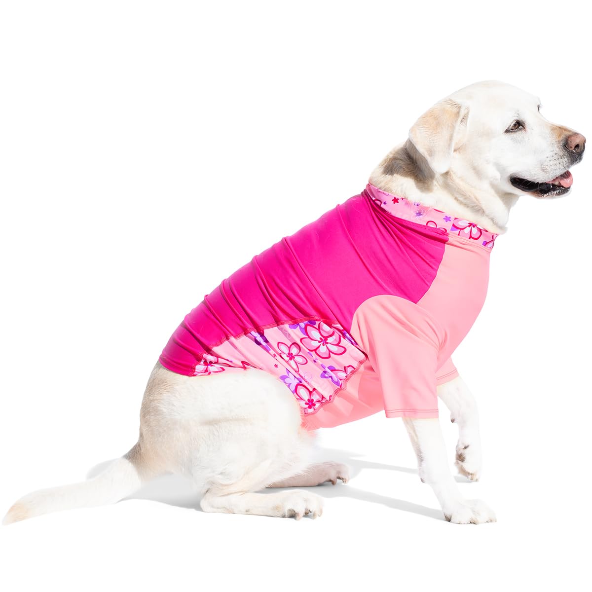 PlayaPup Pet Apparel in XX-Small, Purple Wave