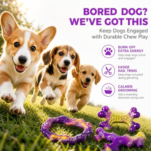 Frienhund Pet Toy in Small, Purple(Small)