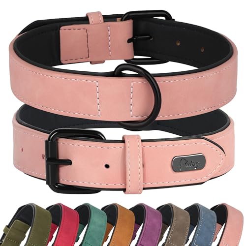 Didog Animal Collar in M: Fit Neck 11-14"(10-20 lbs), Pink