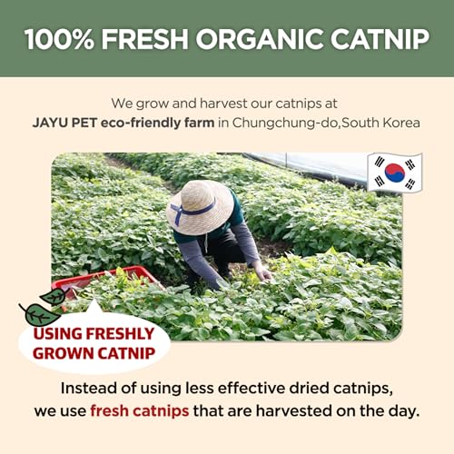 JAYU PET Pet Toy in 1fl oz, Catnip