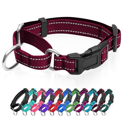 GDLKPS Animal Collar in XS:3/4" Wide for 11.5"-13.5" Neck, Crimson