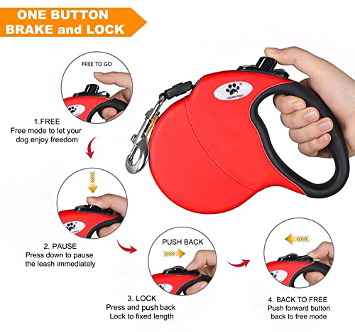 CROWN PAWS Leash in Large, Red