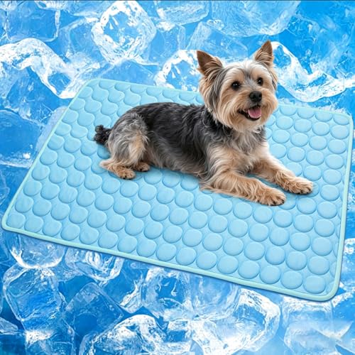 XinChangShangMao Pet Bed Mat in Small 20''×16'', Blue