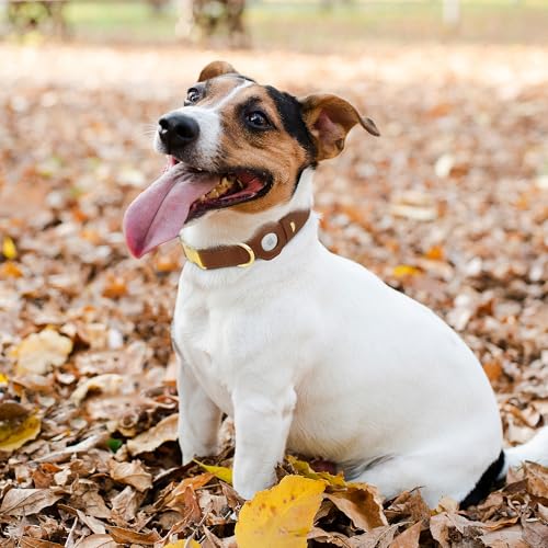 BUDKAS Animal Collar in XS, 9"-12" Neck Fit, Brown