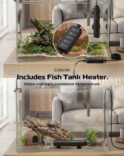 minilake Vivarium in 5 Gallon, Transparent