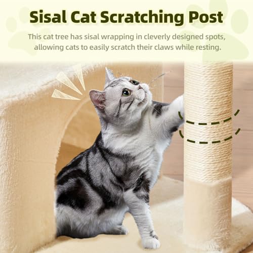 Taoqimiao Pet Activity Structure in XL, Beige