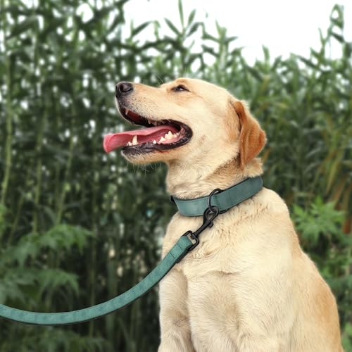 Didog Animal Collar in L: Fit Neck 14-18"(22-44 lbs), Green Set
