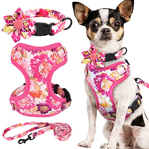 Beirui Animal Harness in XXS:Fit 2-6 lbs, Pink-2