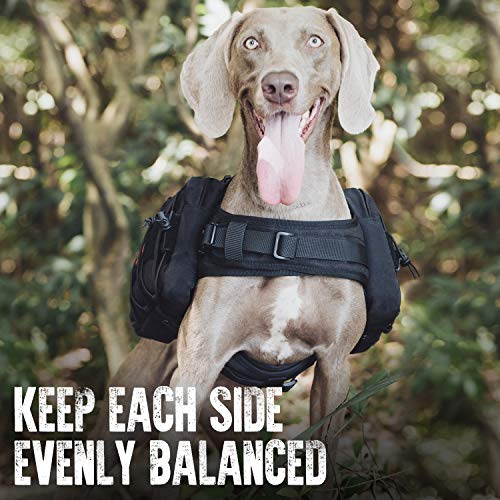 ONETIGRIS Pet Supplies in Large, Black