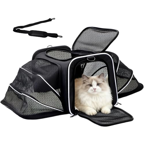 Srinlon ㅤ Animal Carrier in 18.0"L x 11.0"W x 11.0"H, Black