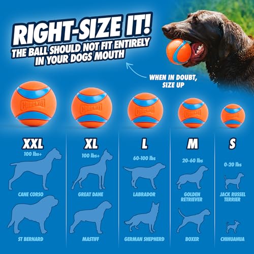 Chuckit! Pet Toy in Medium, Ultra