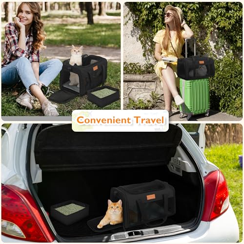 Petux Animal Carrier in 17.0"L x 11.0"W x 9.5"H, Light Black