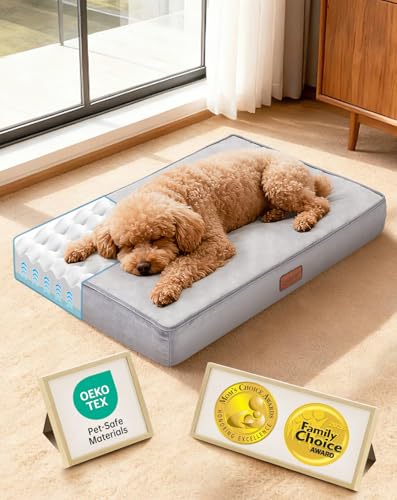 OhGeni Pet Bed Mat in 24"x 16"x 3” (For Sprawling), 01-Gray