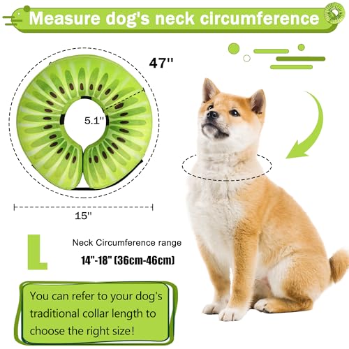 Cneo Animal Recovery Collar Cone in L（neck 14"-18"）, Kiwi