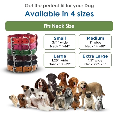 DowgClub Animal Collar in S (11"-14"), Red