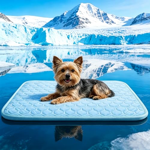 dgdgbaby Pet Bed Mat in Small, Blue