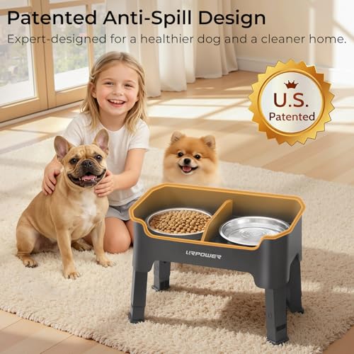 URPOWER Pet Feeder in Small, Grey