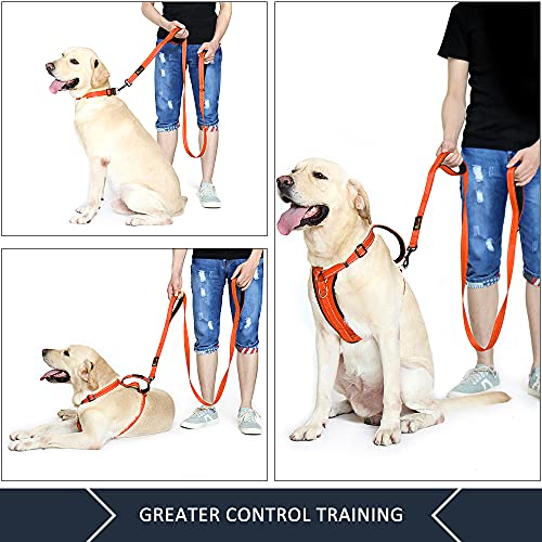 PLUTUS PET Leash in 4 FT, Orange
