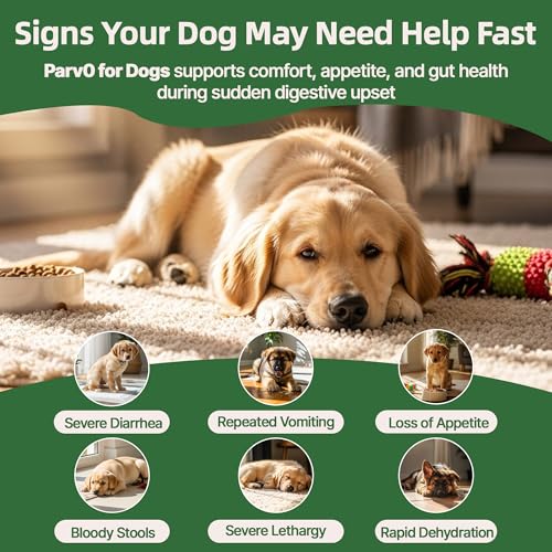 Faith Love Hope Pet Supplies in no