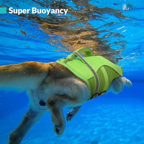 Queenmore Pet Apparel in X-Small, Green