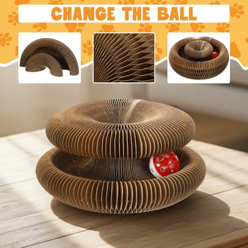 Zopeal Pet Activity Structure in colorful