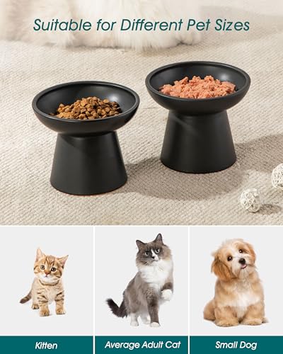 vancasso Pet Feeder in Black
