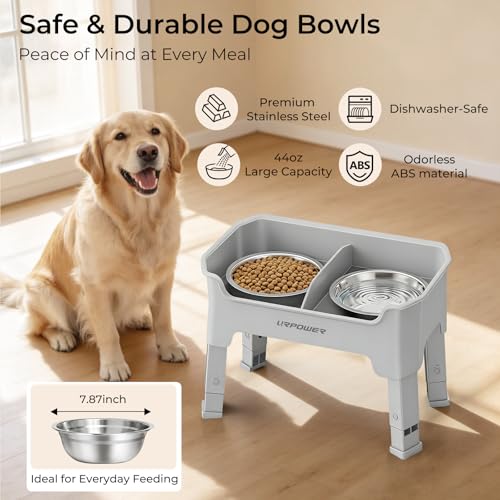 URPOWER Pet Feeder in Medium, Light Grey