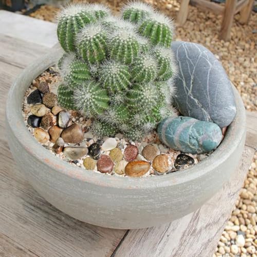 HappyFiller Outdoor Living in 2-4 cm, Mixed