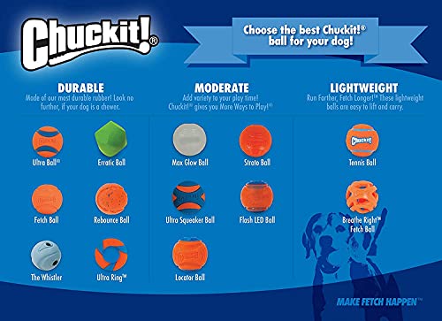 Chuckit! Pet Toy in Medium (Pack of 12), Squeaker