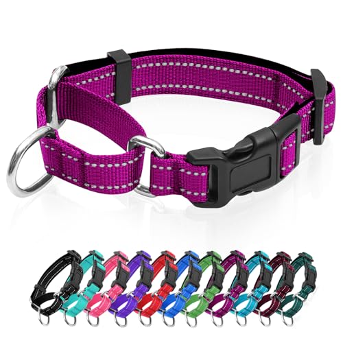 GDLKPS Animal Collar in XS:3/4" Wide for 11.5"-13.5" Neck, Rose Red