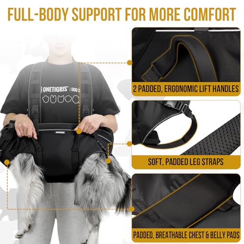 ONETIGRIS Animal Carrier in S: Chest 20-27", Back 8", Fits 18-32 lbs, Black