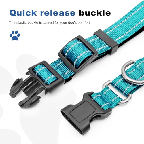 GDLKPS Animal Collar in XS:3/4" Wide for 11.5"-13.5" Neck, Azure Blue