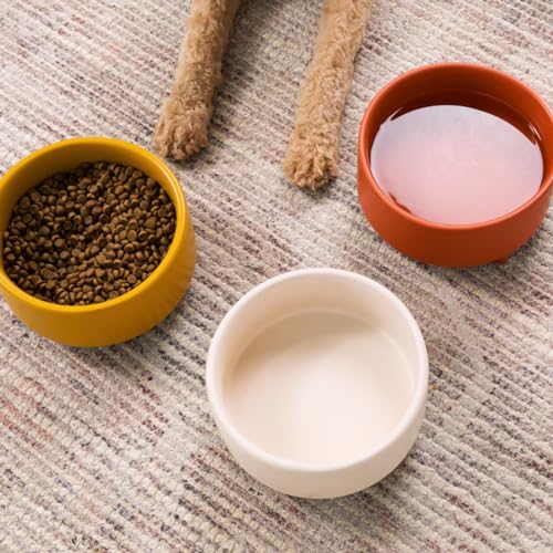 Waggo Pet Feeder in Small, Mustard