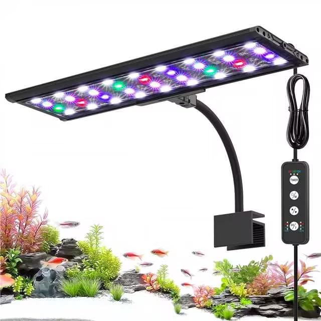 AQQA Electric Light in 11W, Black