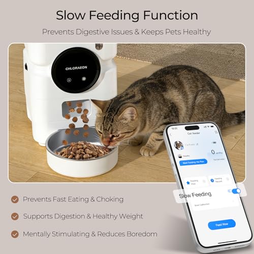 Chloraeon Pet Feeder in Warm White