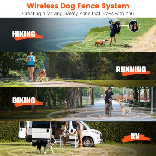 Pawton Animal Collar in Medium, Large, Orange for 1 Dog