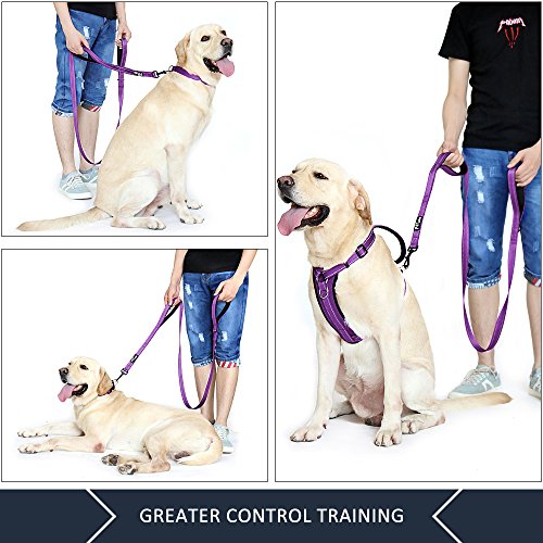 PLUTUS PET Leash in 4 FT, Purple