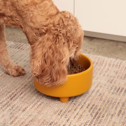Waggo Pet Feeder in Medium, Mustard