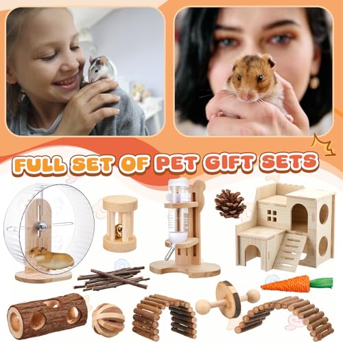 Sonwyoung Pet Activity Structure in natural